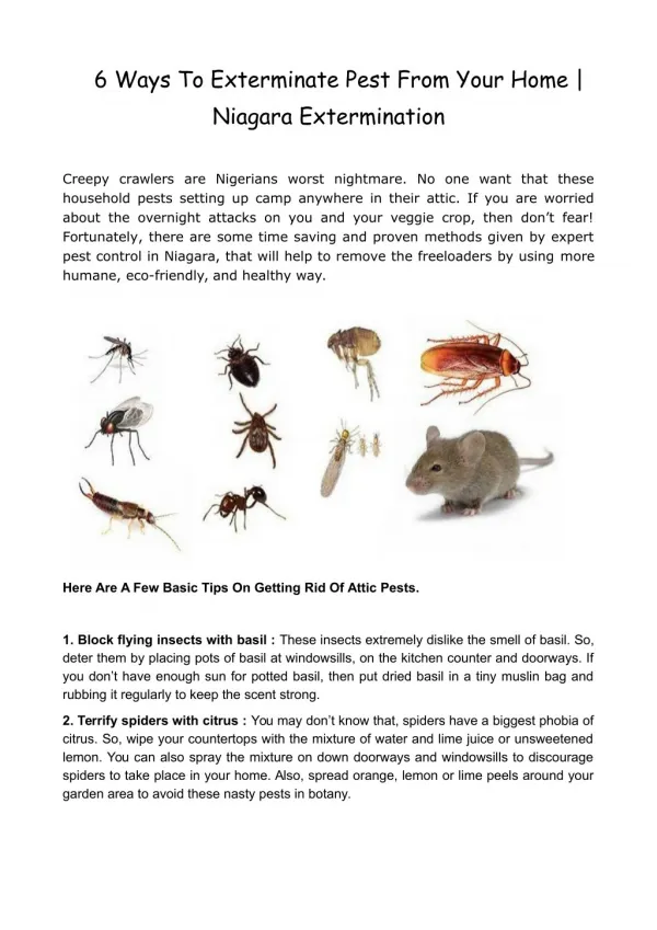 6 Ways To Exterminate Pest From Your Home | Niagara Extermination
