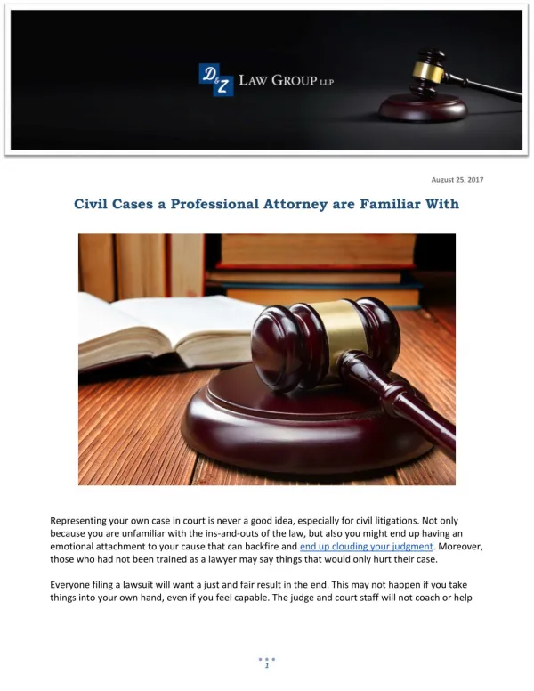 Civil Cases a Professional Attorney are Familiar With