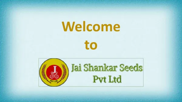 Wheat Seeds Manufacturer | Jai Shankar Seeds