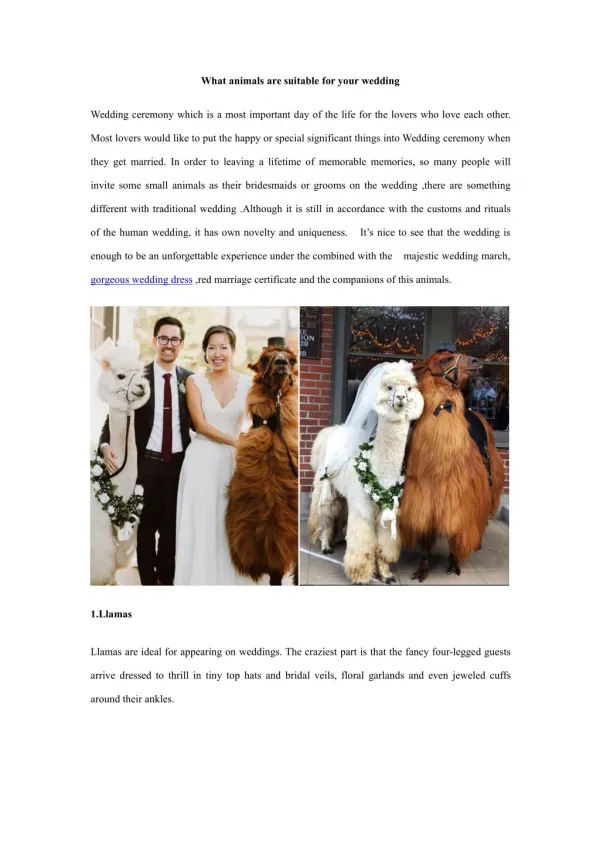 What animals are suitable for your wedding