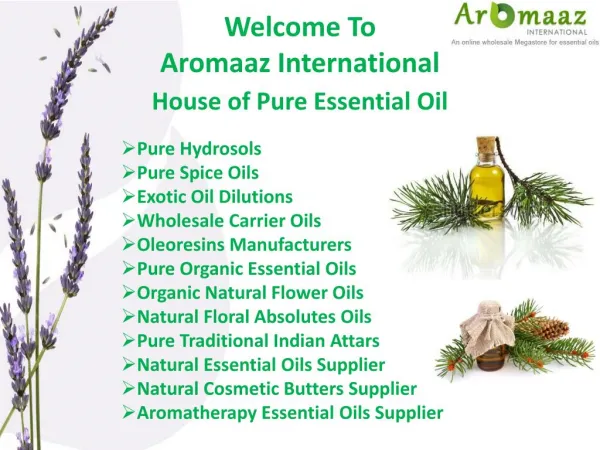 Aromaaz international is the best Organic Essential Oils suppliers
