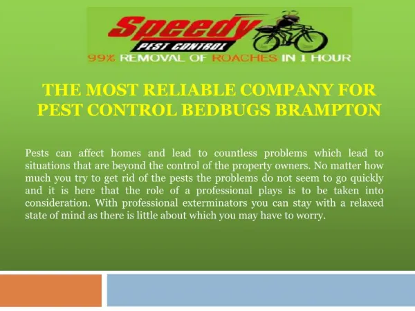The Most Reliable Company For Pest Control Bedbugs Brampton
