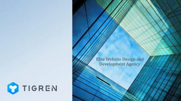 Tigren - The Best Magento Development Agency in Asia