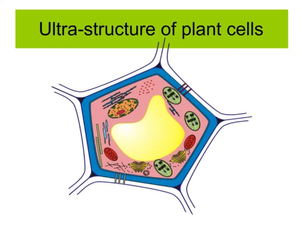 Ultra-structure of plant cells