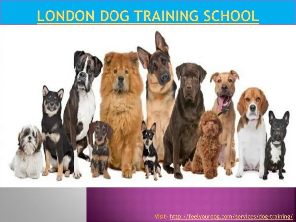 London Dog Training School