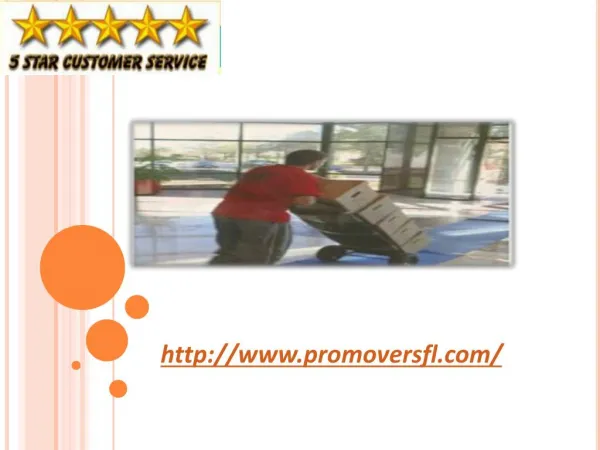 Professional movers Florida