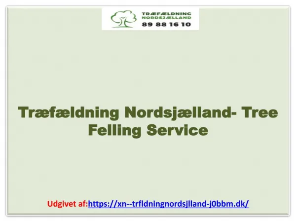Træfældning Nordsjælland- Tree Felling Service