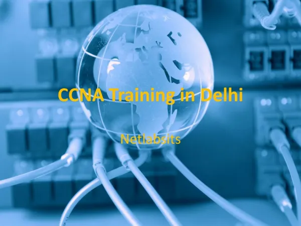 CCNA Training in Delhi | Join Hi-tech Networking Courses at Netlabsits