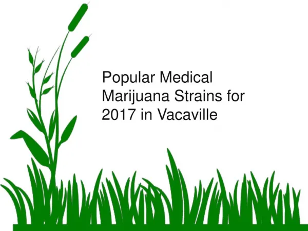 Popular Medical Marijuana Strains for 2017 in Vacaville