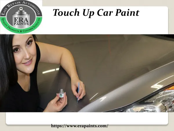 Touch Up Car Paint 