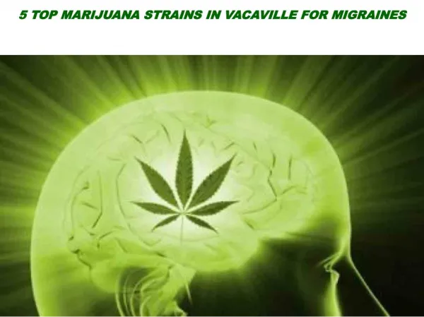 5 TOP MARIJUANA STRAINS IN VACAVILLE FOR MIGRAINES