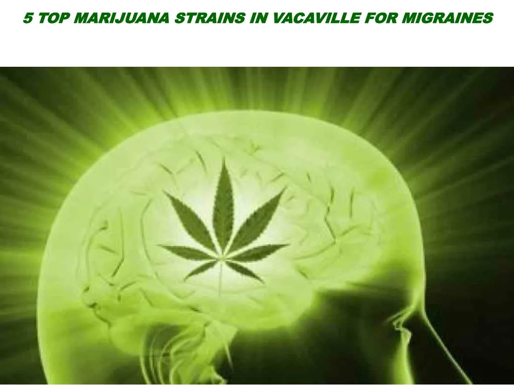 5 top marijuana strains in vacaville for migraines