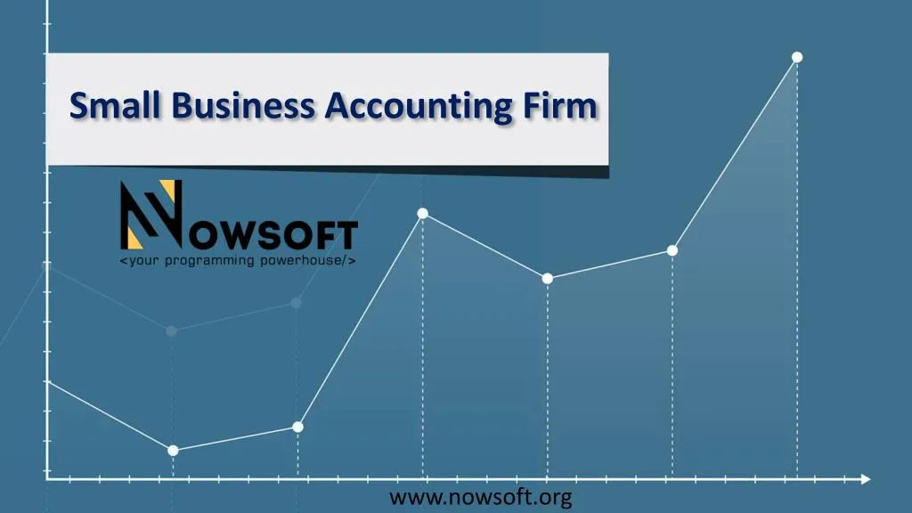 small business accounting firm