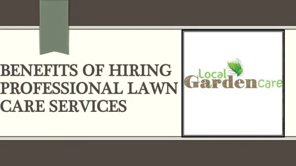 Professional Lawn Care Services Various Benefits