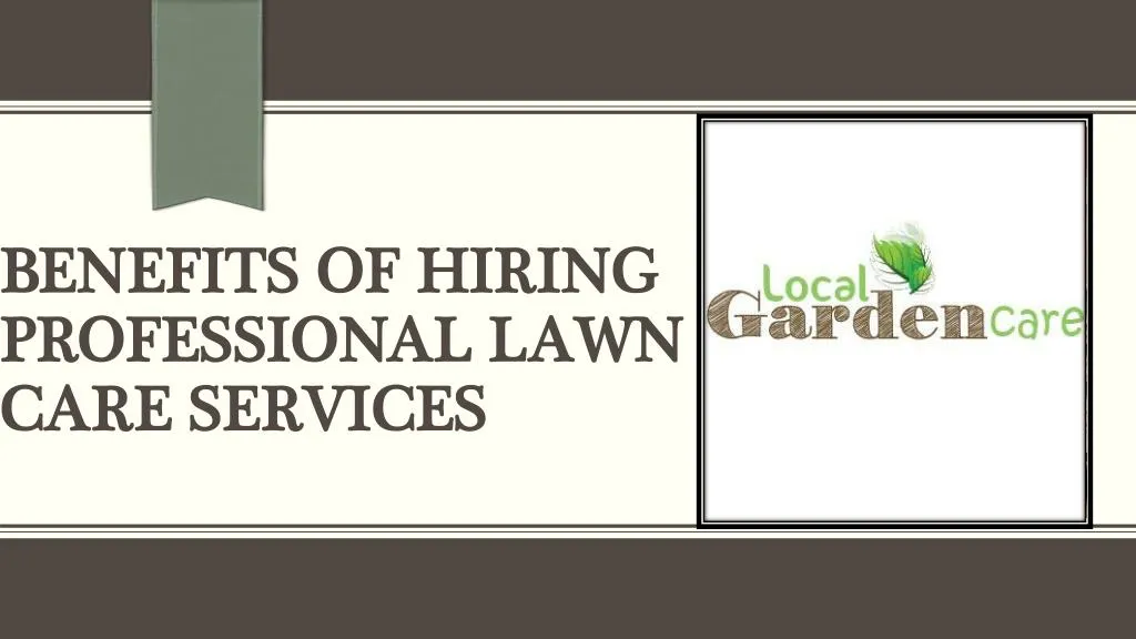 benefits of hiring professional lawn care services