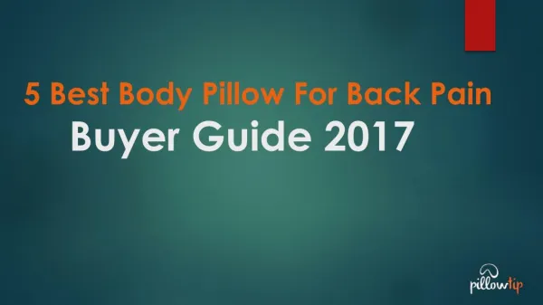 5 Best body pillow for back pain & Buying Guide