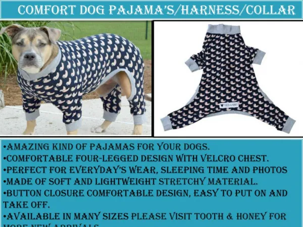 Comfort Dog PAJAMA’S/HARNESS/COLLAR