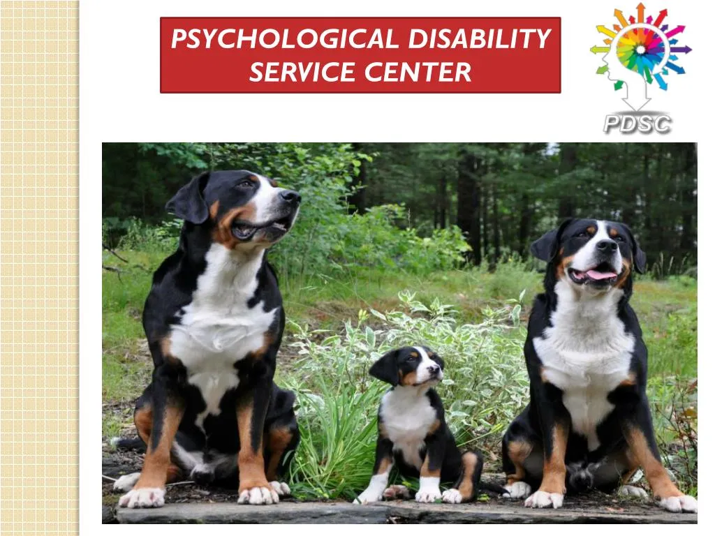 psychological disability service center