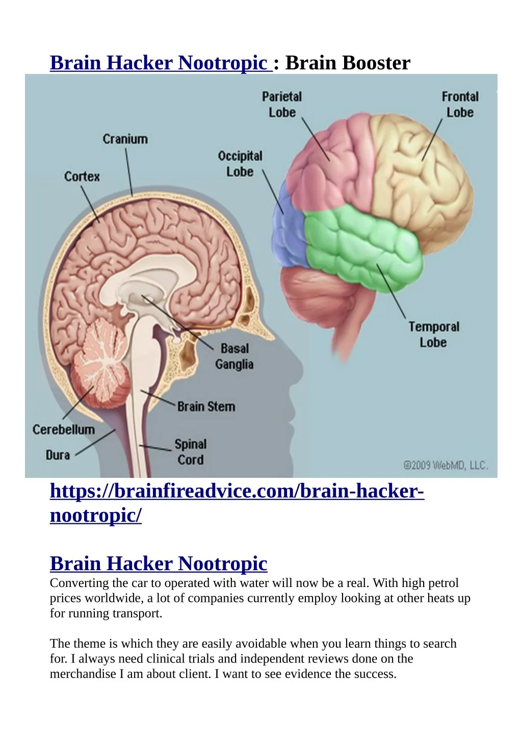 brain hacker nootropic brain booster