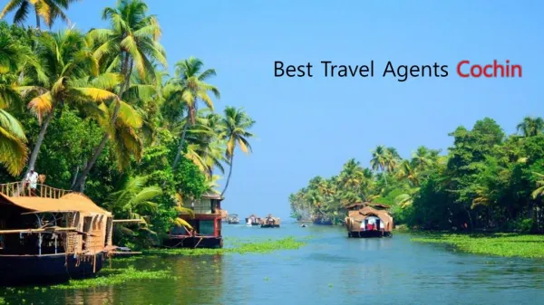 Honeymoon travel package agents in Cochin