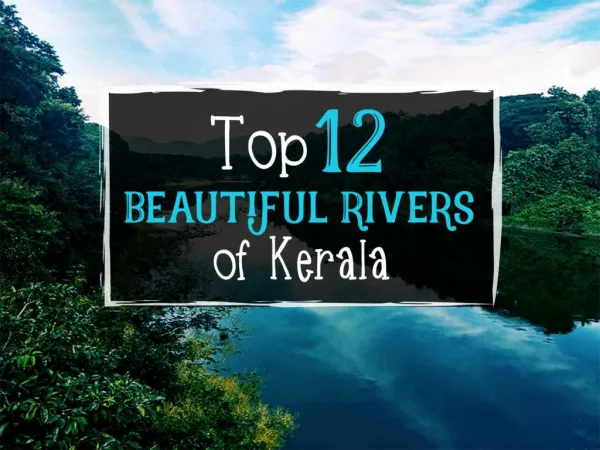 Top-12-Beautiful-Rivers-of-Kerala