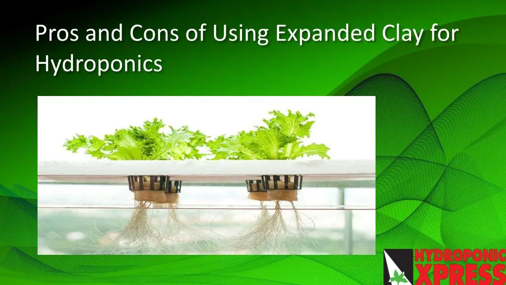 pros and cons of using expanded clay for hydroponics