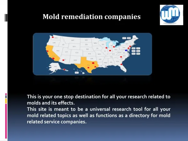 Mold remediation companies