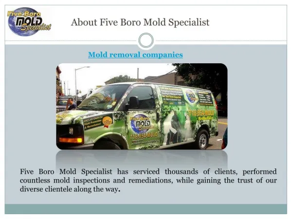 Mold removal companies