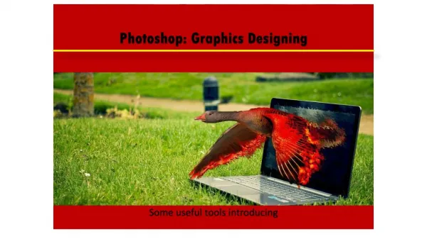 Introduce to Photoshop Basic Tools
