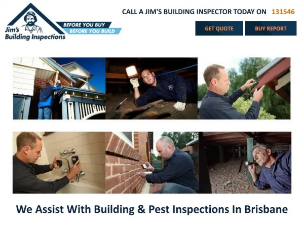 We Assist With Building & Pest Inspections In Brisbane