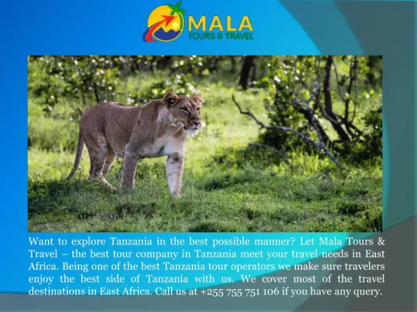 Tanzania Safari Companies