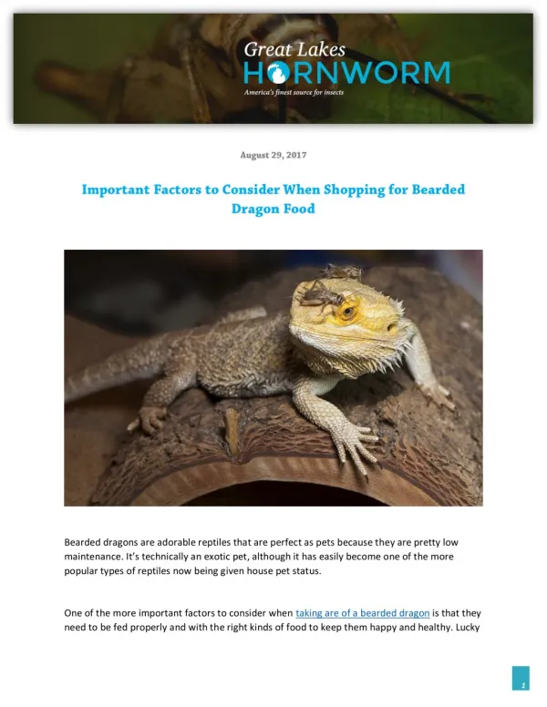 Important Factors to Consider When Shopping for Bearded Dragon Food