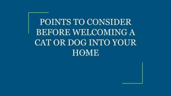 POINTS TO CONSIDER BEFORE WELCOMING A CAT OR DOG INTO YOUR HOME