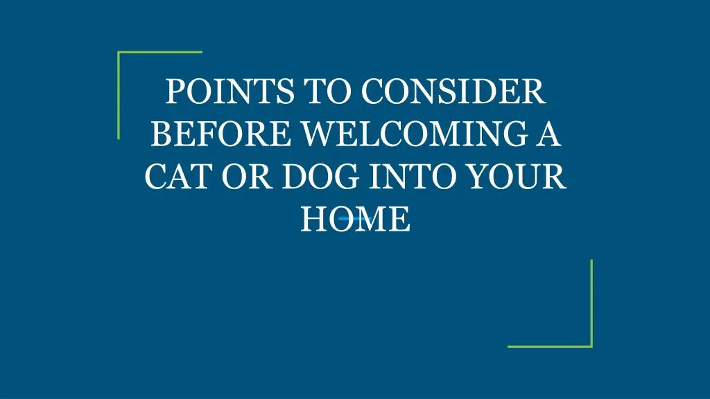points to consider before welcoming a cat or dog into your home