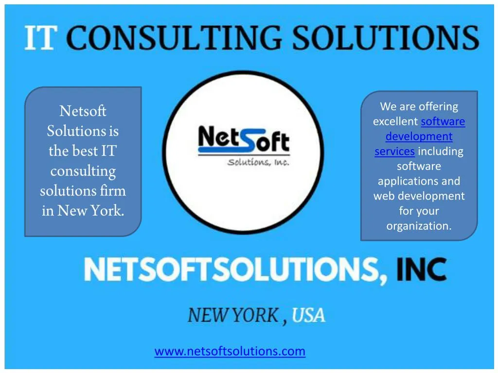 netsoft solutions is the best it consulting