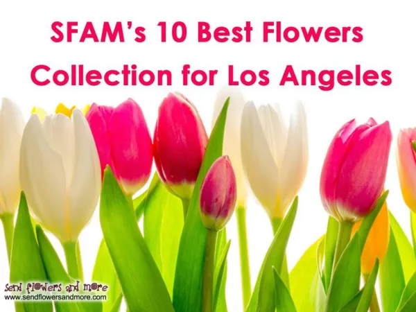10 Most Selling Flowers Bouquet for LA