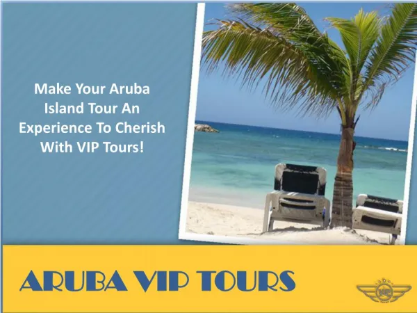 Best Tour Operator in Aruba!
