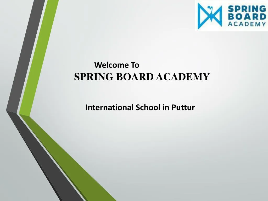 welcome to spring board academy