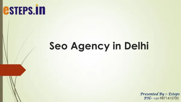 Seo Agency in Delhi