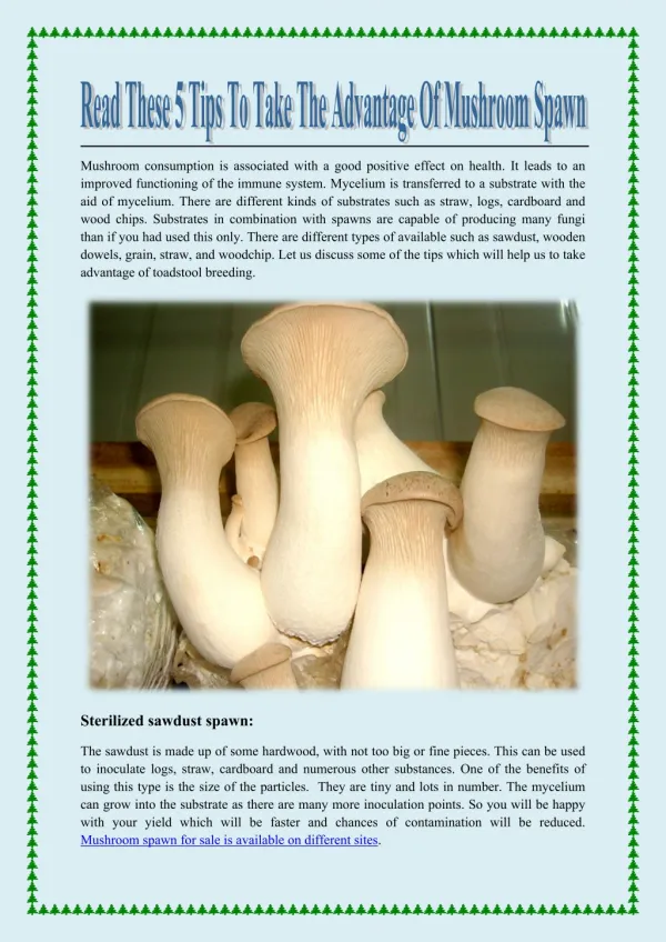 mushroom consumption is associated with a good