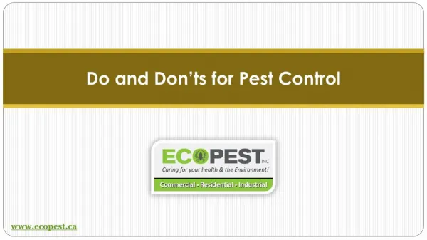 Read Do and Don’ts During Pest Control in Edmonton?