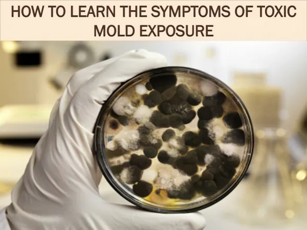 How to Learn the Symptoms of Toxic Mold Exposure