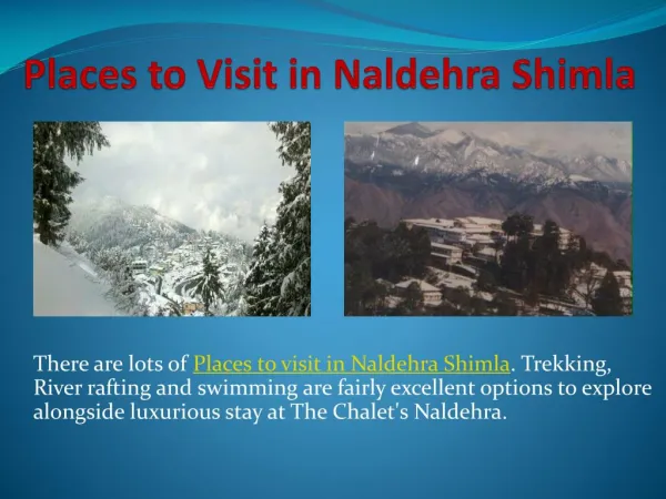 Places to Visit in Naldehra Shimla