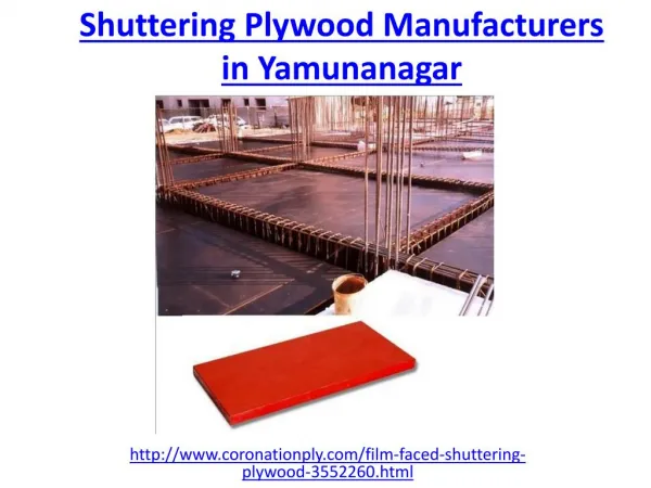 Looking for a shuttering plywood manufacturers in yamunanagar