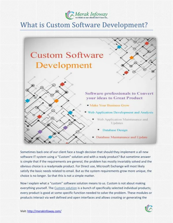 Custom Software Development in India - Merak Infoway