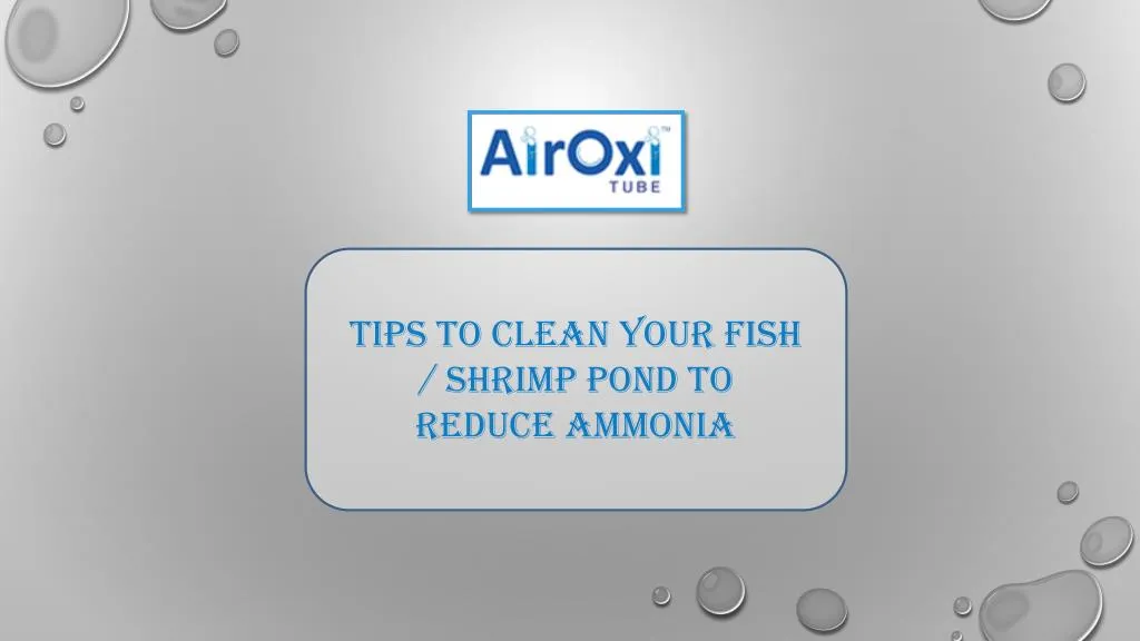 tips to clean your fish shrimp pond to reduce