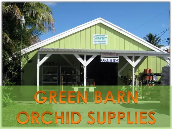 Amazing and Beautiful Orchid Pots From Green Barn orchid