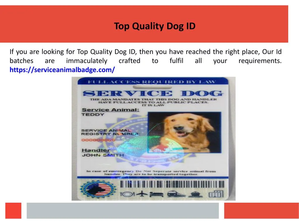 top quality dog id