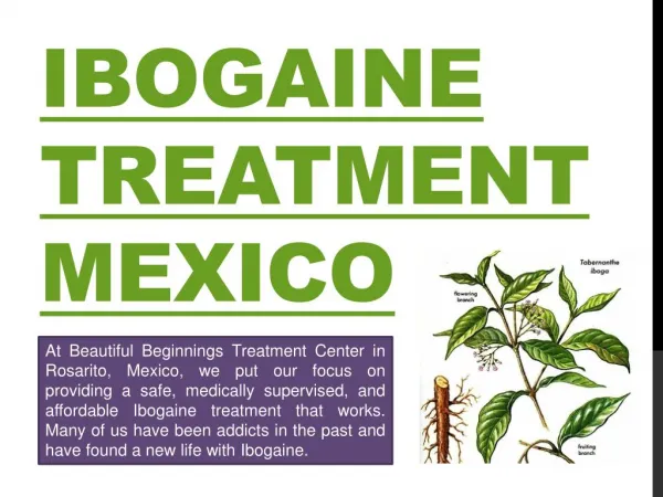 ibogaine therapy