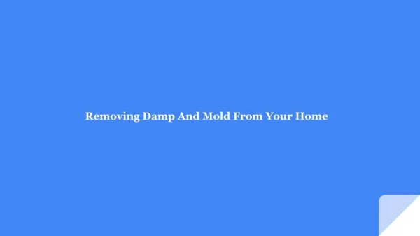 Removing Damp And Mold From Your Home
